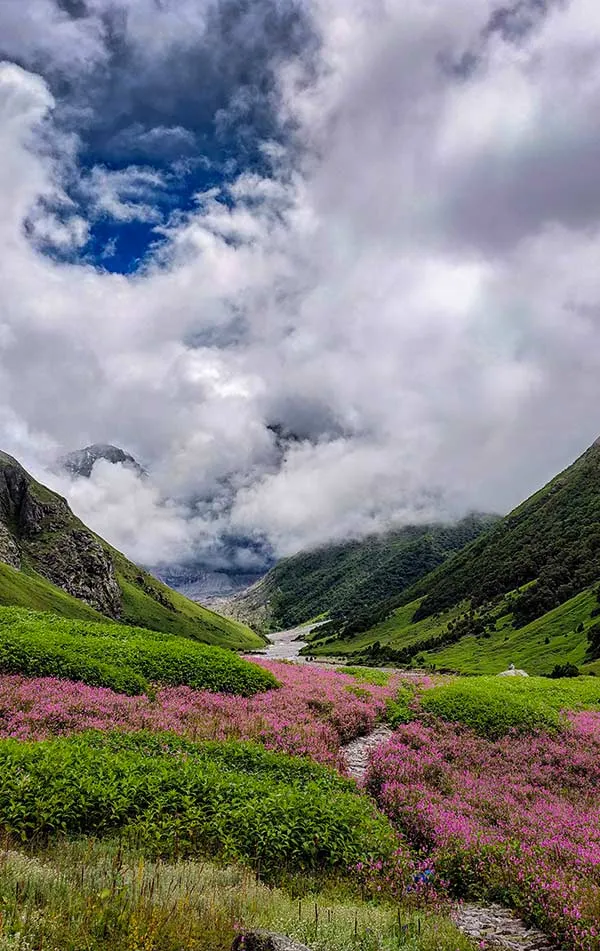 Valley of Flowers Trek   